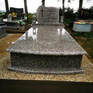 IMG-20250324-WA0012